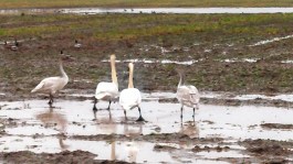 IMG_20160215_160440_813